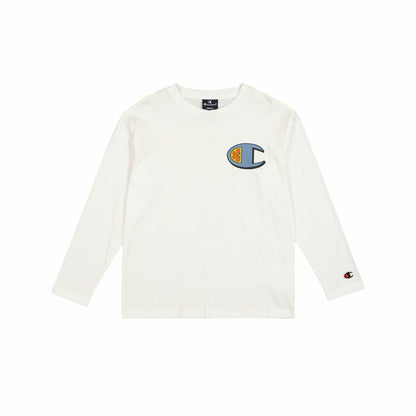 V5HE43DFE5EDED9479943C7C20170A34CDBR5458917P1